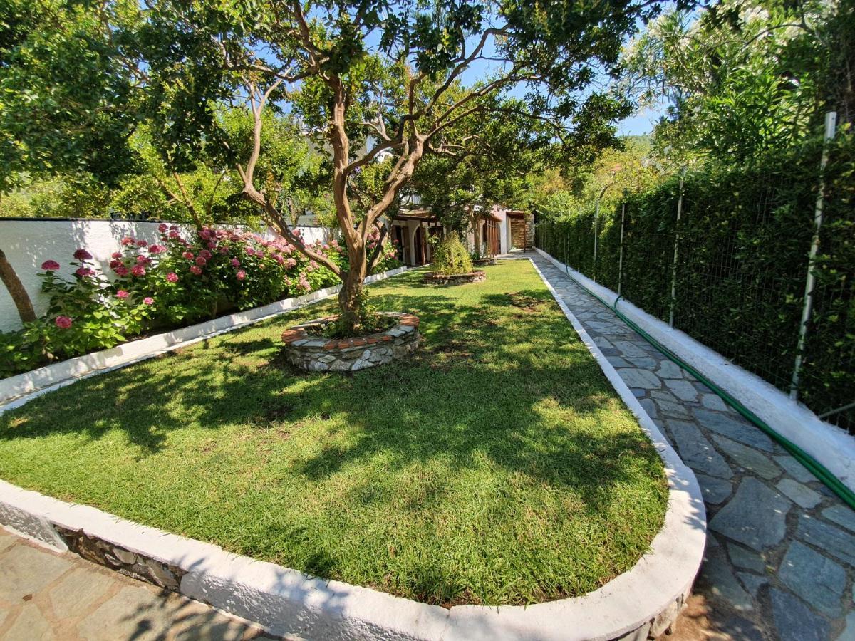 Dionisos Studios And Apts Skiathos Koukounaries Ngoại thất bức ảnh