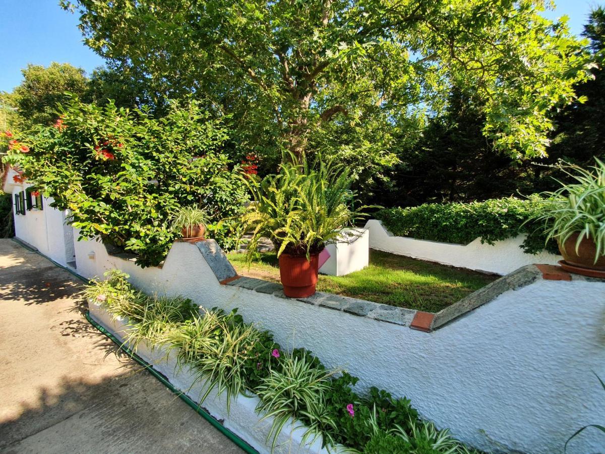 Dionisos Studios And Apts Skiathos Koukounaries Ngoại thất bức ảnh