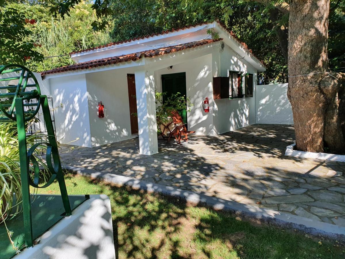 Dionisos Studios And Apts Skiathos Koukounaries Ngoại thất bức ảnh